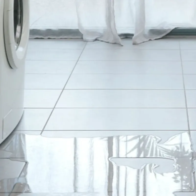 Appliance Leak Cleanup in Winfield, IL